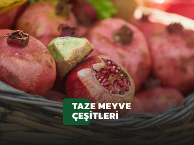 Organik Meyve Banner