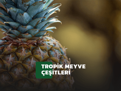 Tropik Meyve Banner