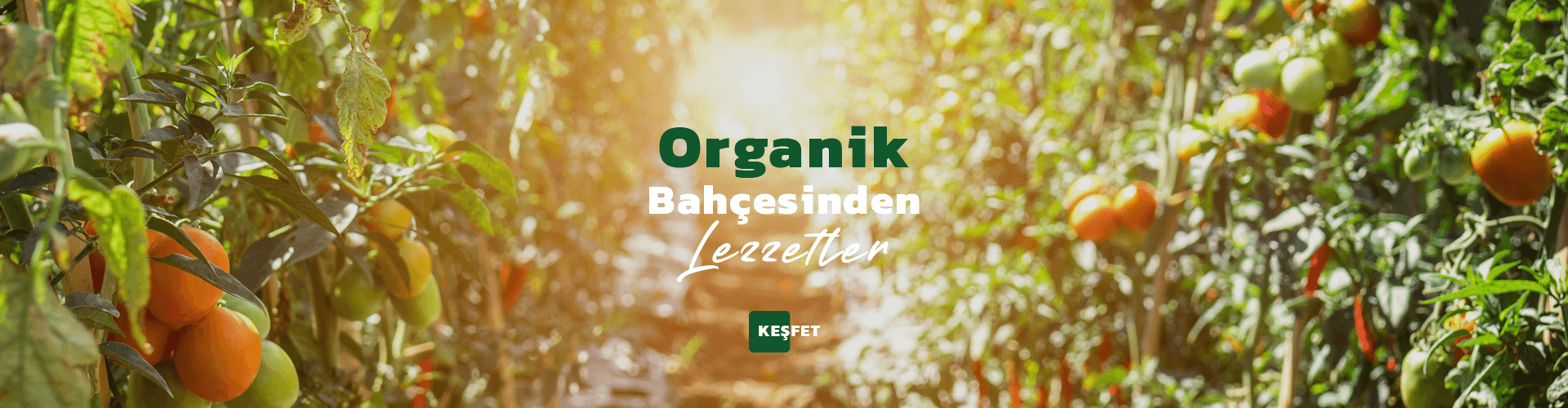 GSR Tropik - Organik Bahçeden Lezzetler